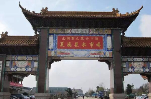 <strong>中國十大花卉批發市場，江蘇上榜兩處，第一是中國最大鮮切花市場(2)</strong>