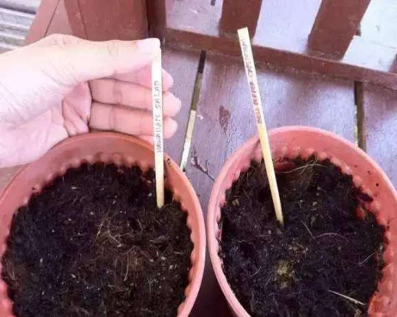 花盆沒(méi)有孔可以種菜嗎_花盆沒(méi)有孔可以養(yǎng)花嗎_花盆沒(méi)有孔花能活么