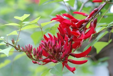 別人生日的時(shí)候應(yīng)該送什么鮮花？
