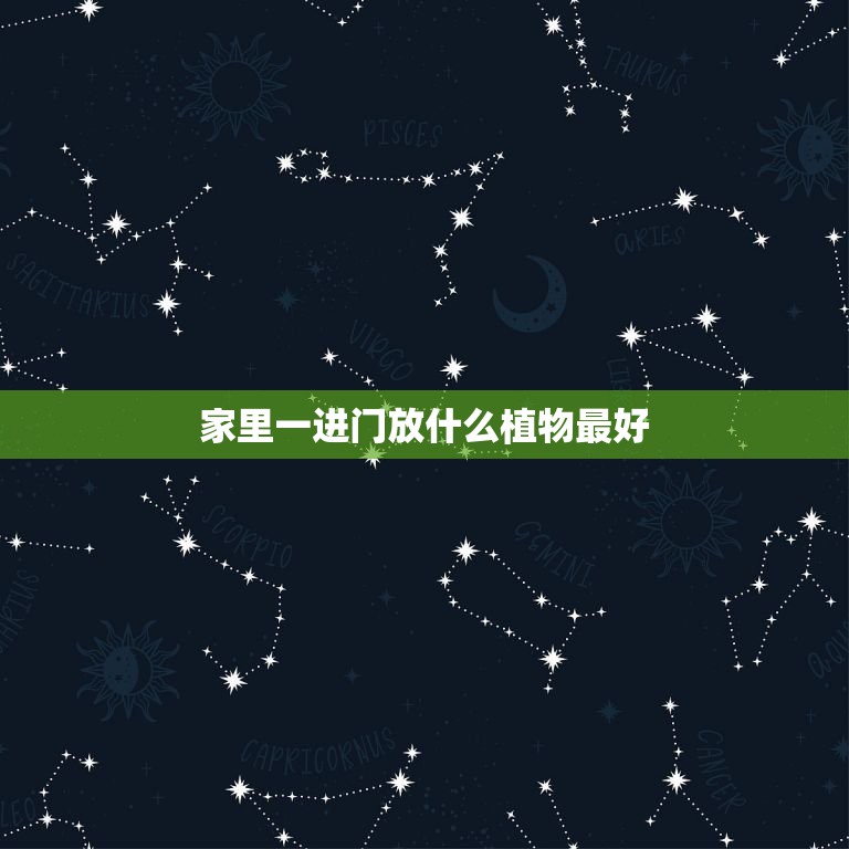 家里一進門放什么植物最好，家居風水 一進門擺什么植物最好