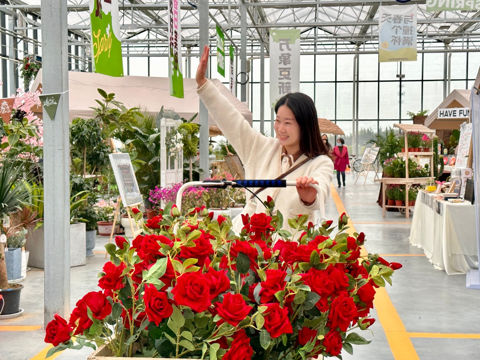 洛陽(yáng)一花卉市場(chǎng)“變身”青年打卡地