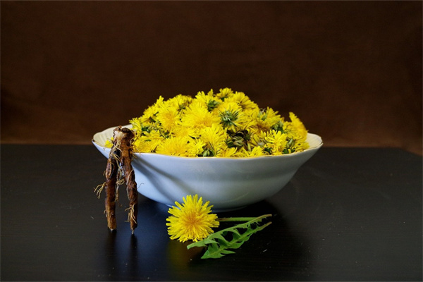 四季盛開的花分別有哪些(四季開花的花有哪些)