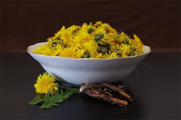 木香花什么時(shí)候扦插最好（木香花種植方法和時(shí)間）