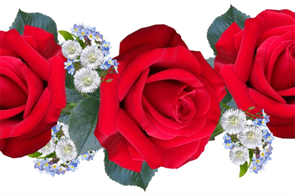 鮮花送花(鮮花送什么)